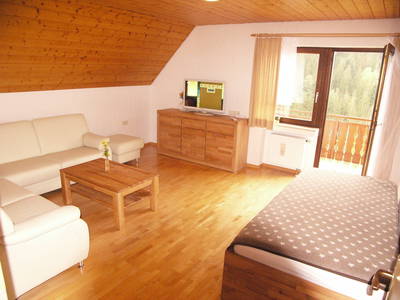 Bild 66 aus  Ferienhaus - Ferienwohnungen Müllerbauernhof im Schwarzwald.