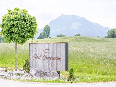 Bild 21 aus  Hof Gottenau