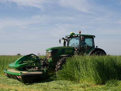 Bild 13 aus  Sandsteinhof Kückmann