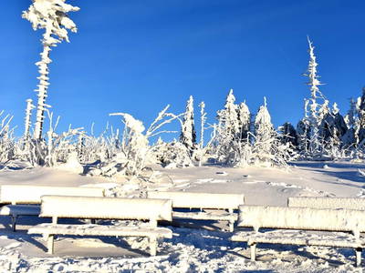 Bild 7 aus  Gästehaus Schmalzreich