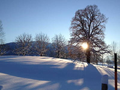 Bild 30 aus  Sotterhof