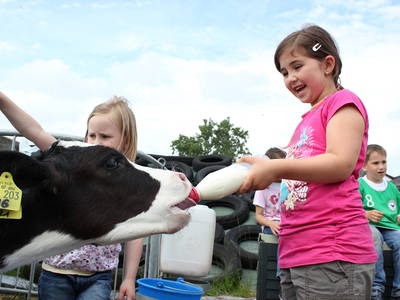 Bild 5 aus  Bernis Ferienhaus