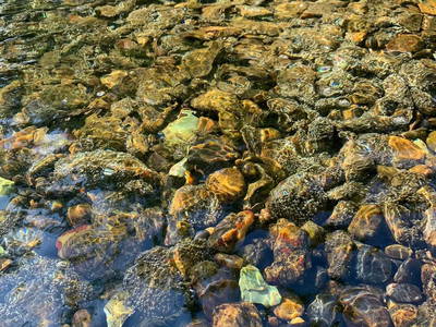 Bild 95 aus  Le Colombié - Ferienhäuser an der Dordogne mieten