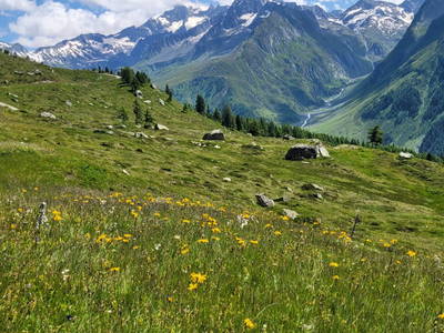 Bild 20 aus  Haus Steger