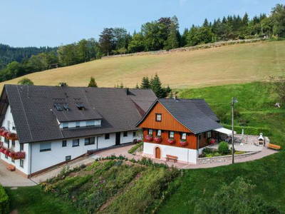 Bild 51 aus  Ferienhaus - Ferienwohnungen Müllerbauernhof im Schwarzwald.