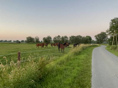 Bild 2 aus  Kleyhauers Ferienbauernhof