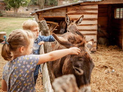 Bild 23 aus  Gut Boltenhof