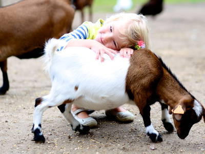 Bild 12 aus  Premium - Ferienhof Lunau an der Ostsee