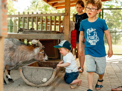 Bild 7 aus  LandSelection Grieshof