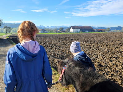 Bild 44 aus  Frankhof