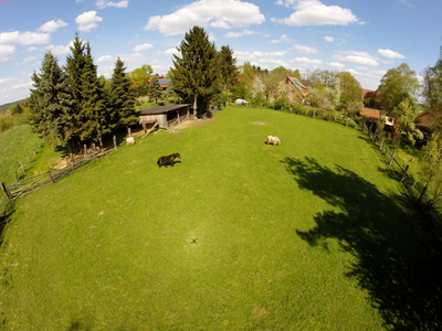 Bild 3 aus  Ferienhof Heidemann