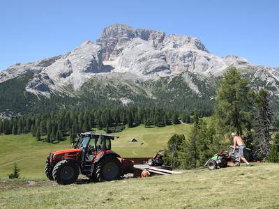 Bild 11 aus  Bruggerhof