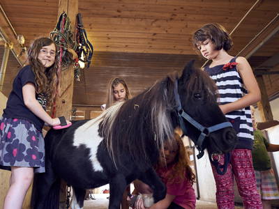 Bild 5 aus  Ponyferienhof