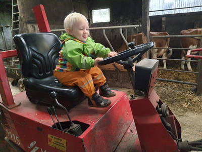 Bild 36 aus  Bauernhofpension Bals