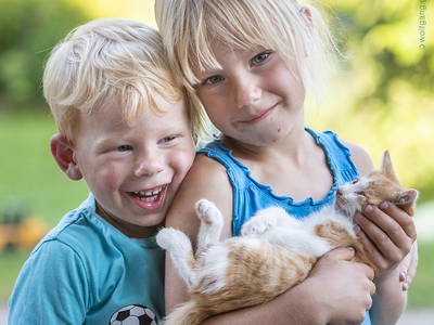 Bild 9 aus  Zaißlhäusl Hof inkl. Chiemgau-Karte ab 1.5.2026