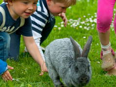 Bild 10 aus  Kirnermartes Hof