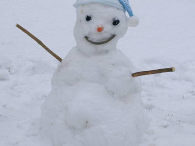 Bild 18 aus  Mühlenhof Seyde