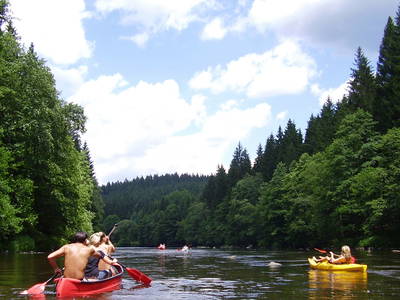 Bild 23 aus  Ferienhof Pauli