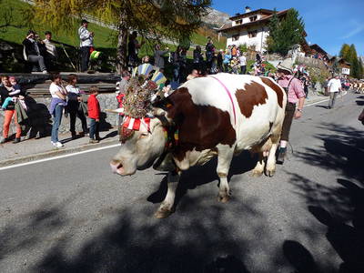 Bild 19 aus  Bruggerhof