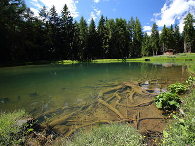 Bild 7 aus  Hatzeshof