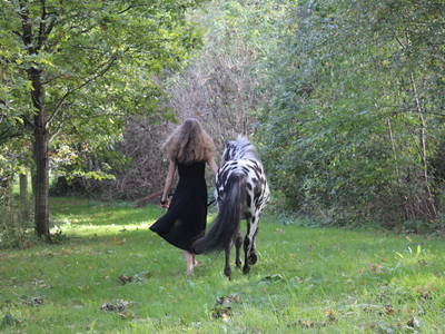 Bild 20 aus  Gut Sommereichen